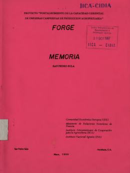 MEMORIA [SAN PEDRO SULA]