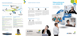 VidyoConferencing™