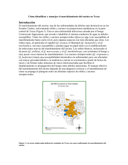 Introducción - Texas Oak Wilt | texasoakwilt.org