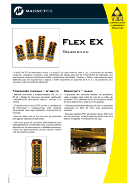 FLEX EX