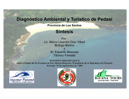 Diagnóstico Ambiental y Turístico de Pedasí Síntesis