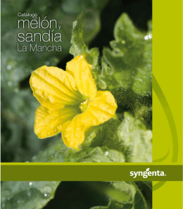 Catálogo de melón y sandía - La Mancha