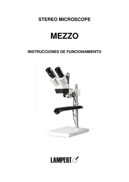 Manual Microscopio MEZZO