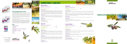 folleto olivar - Grupo Agrotecnología
