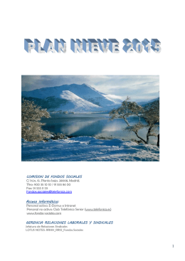 Plan Nieve 2015
