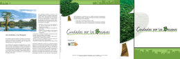 Iniciativa Ciudades por los Bosques