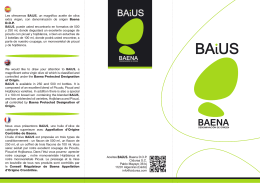 Les ofrecemos BAiUS, un magnífico aceite de oliva extra virgen, con