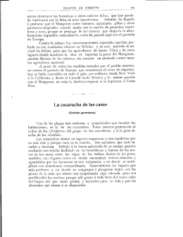 sectos destruyen las hortalizas y otros cultivos útiles, que han