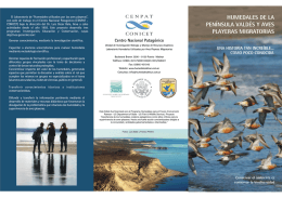 Humedales de la Península Valdés y Aves Playeras Migratorias.