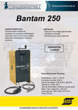 FOLLETO BANTAM 250.psd