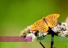 Recursos Naturales, Fauna Cinegética y Pesca
