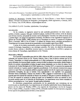 escamas suaves (homoptera: coccidae) y sus parasitqides del género