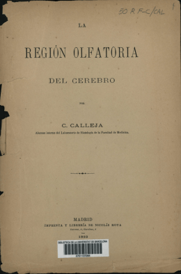 REGÚN OLFATORIA