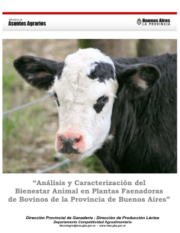 Análisis y Caracterización del Bienestar Animal en planta faenadora
