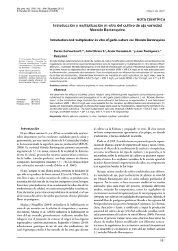 Introducción y multiplicación in vitro del cultivo de ajo