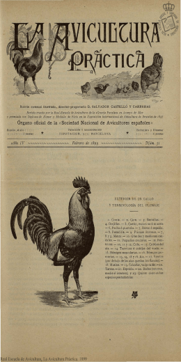 Órgano oficial de la «Sociedad Nacional de Avicultores españoles»