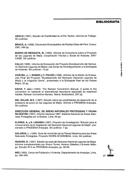 ASICLE (1997). Estudio de Factibilidad en el Río Tambo. Informe de