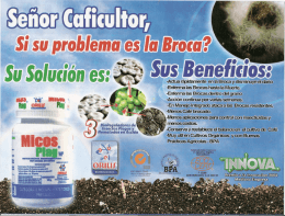 micosplag broca folleto