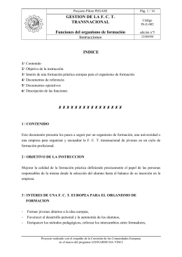 GESTION DE LA FCT TRANSNACIONAL Funciones del