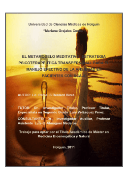 EL METAMODELO MEDITATIVO: ESTRATEGIA