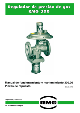 Regulador de presión de gas RMG 300