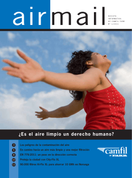 ¿Es el aire limpio un derecho humano?