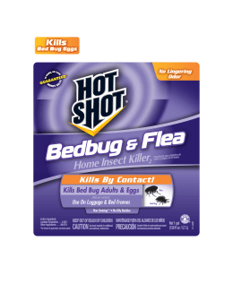 Bedbug Bedbug