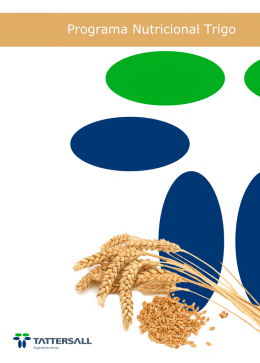 Programa Nutricional Trigo -