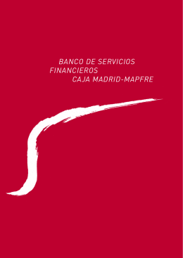 BANCO DE SERVICIOS FINANCIEROS CAJA MADRID