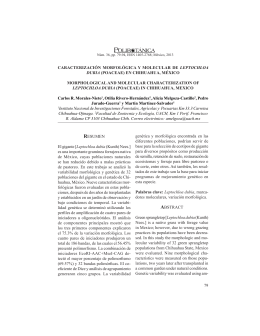 CARACTERIZACIÓN MORFOLÓGICA Y MOLECULAR DE