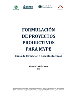 formulación de proyectos productivos para mype
