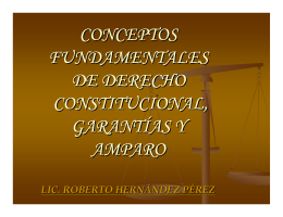conceptos fundamentales de derecho constitucional, garantías y