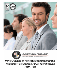Perito Judicial en Project Management (Doble