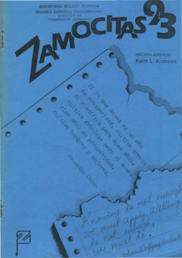 Untitled - Zamorano