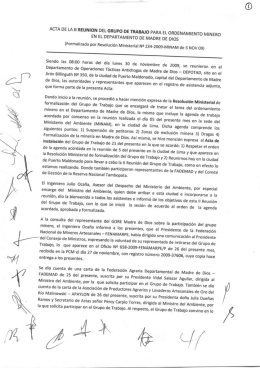Acta Grupo Trabajo 30-10-09