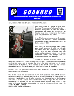Guanoco No 30 - Sociedad Venezolana de Ingenieros de Petroleo