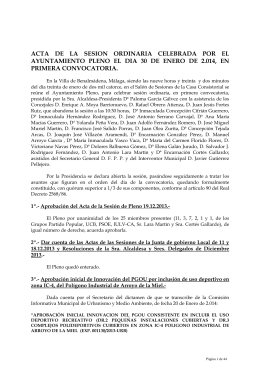 Pleno Ordinario 30.1.2014 página web