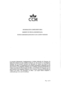 información complementaria emisión de deuda subordinada