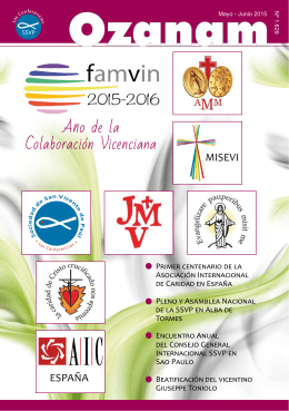 Ano de la Colaboración Vicenciana