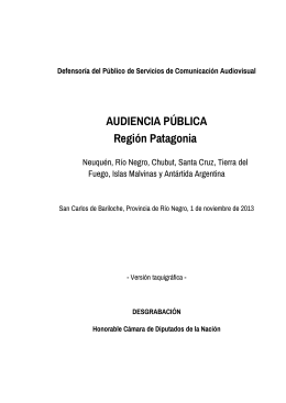 AUDIENCIA PÚBLICA Región Patagonia