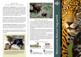 yaguarete 5 - Fundación de Historia Natural Félix de Azara