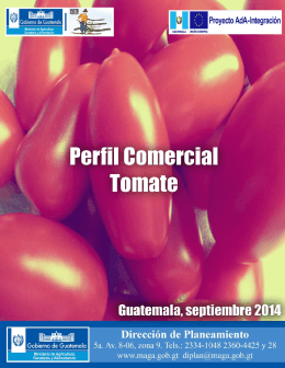 Perfil Tomate - Ministerio de Agricultura Ganadería y Alimentación