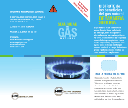 seguridad - Missouri Gas Energy
