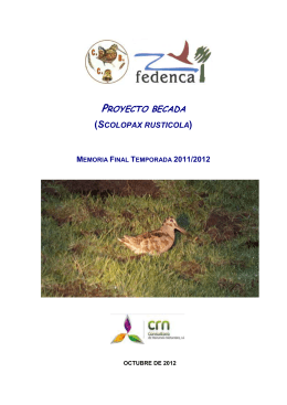 Memoria Final 2011-12 "Proyecto Becada"