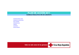 plan de acción 2011