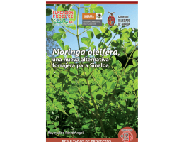 Moringa oleifera, una nueva alternativa forrajera para Sinaloa