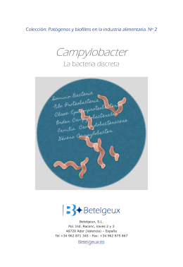 Campylobacter: un patógeno emergente