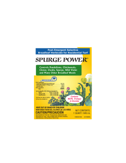 SPURGE POWER - KellySolutions.com