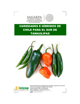 variedades e híbridos de chile para el sur de tamaulipas