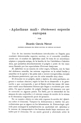 «Aphelinus mali» (Haldeman) especie europea